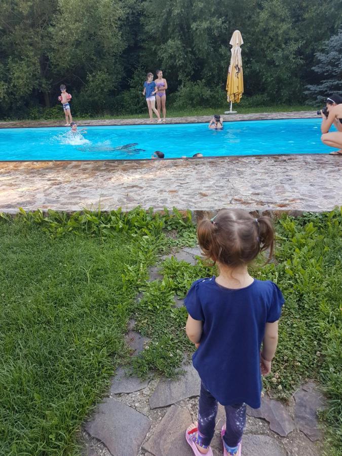 Pensiunea Larysse Băile Felix 外观 照片